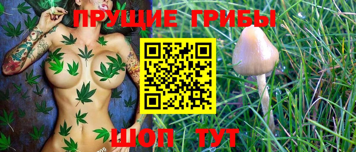 Галлюциногенные грибы Psilocybine cubensis  Вход с VPN  Похвистнево  Галлюциногенные грибы Cubensis 