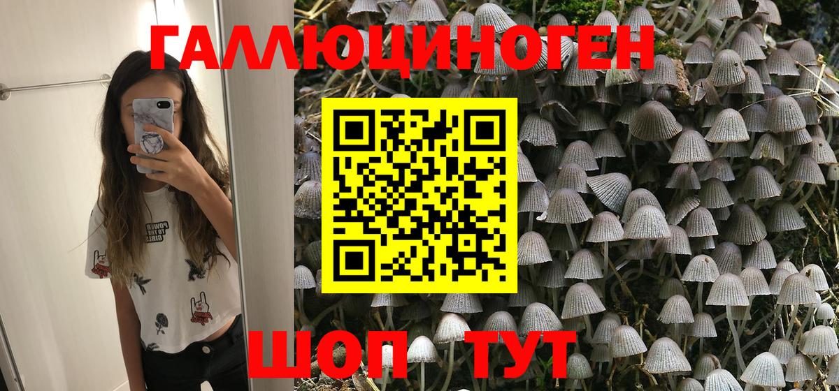 Псилоцибиновые грибы мухоморы Похвистнево